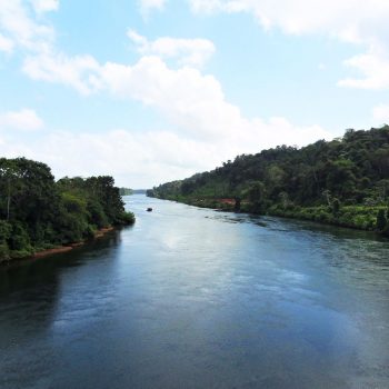 De jungle en de Surinamerivier - Suriname 